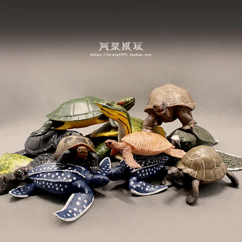 Leatherback Red-eared Turtle L - Ocean Aquarium review and price