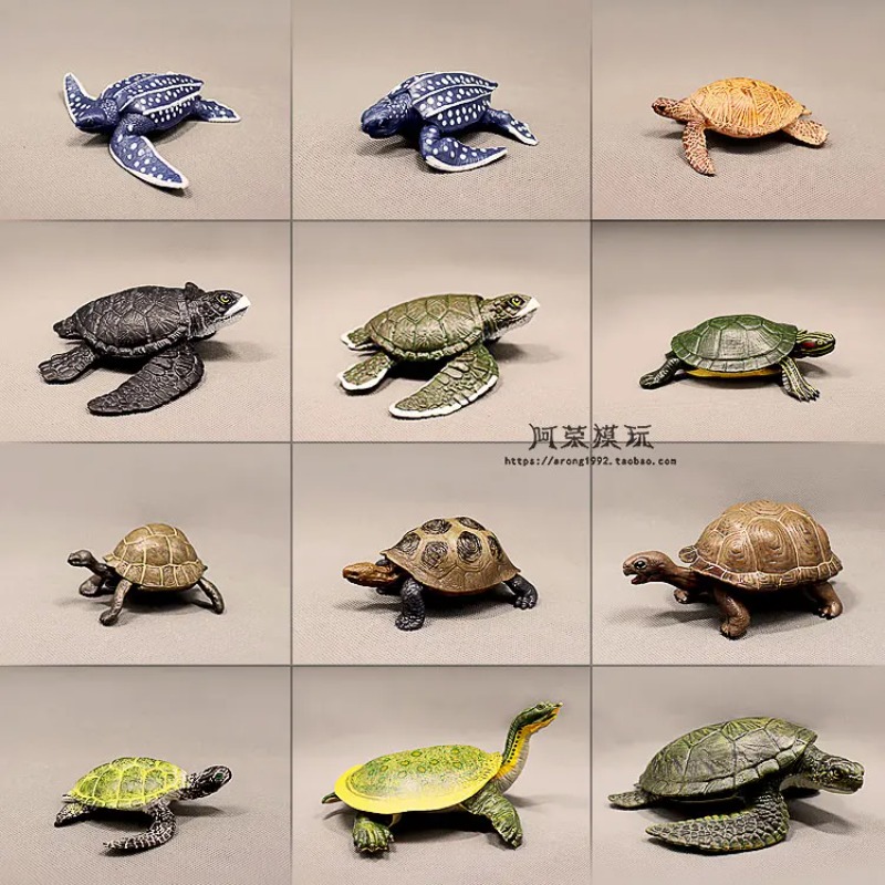 Leatherback Red-eared Turtle L - Ocean Aquarium review and price