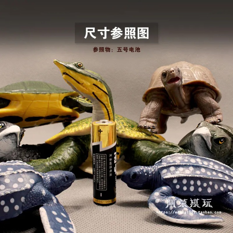 Leatherback Red-eared Turtle L - Ocean Aquarium review and price