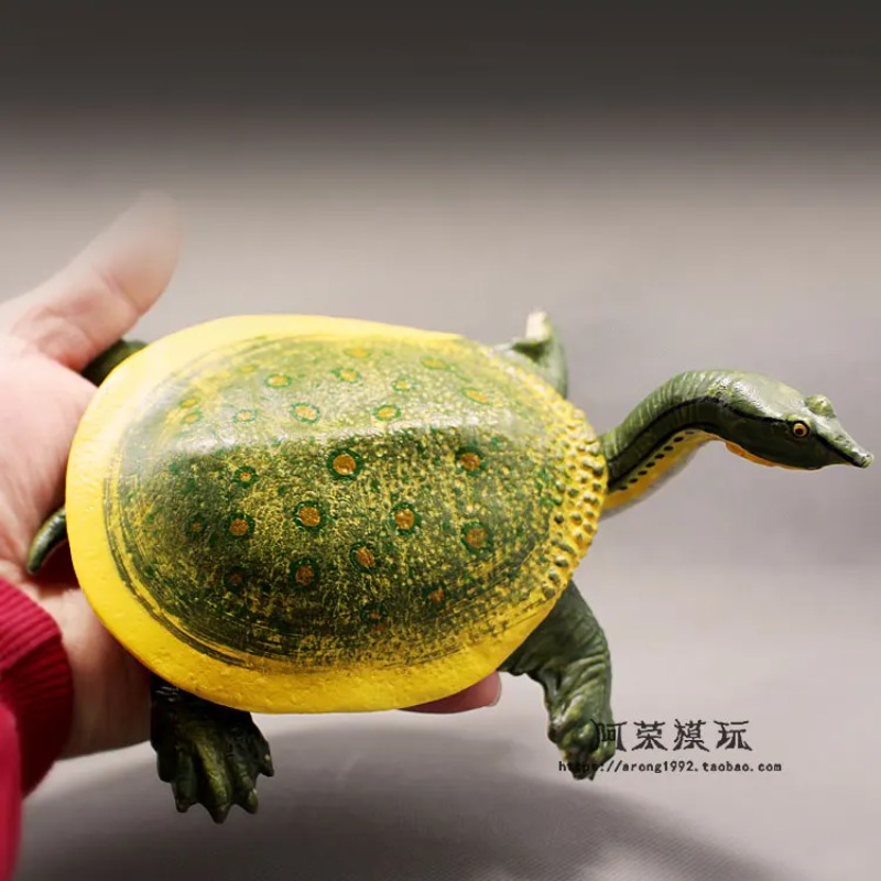 Leatherback Red-eared Turtle L - Ocean Aquarium review and price