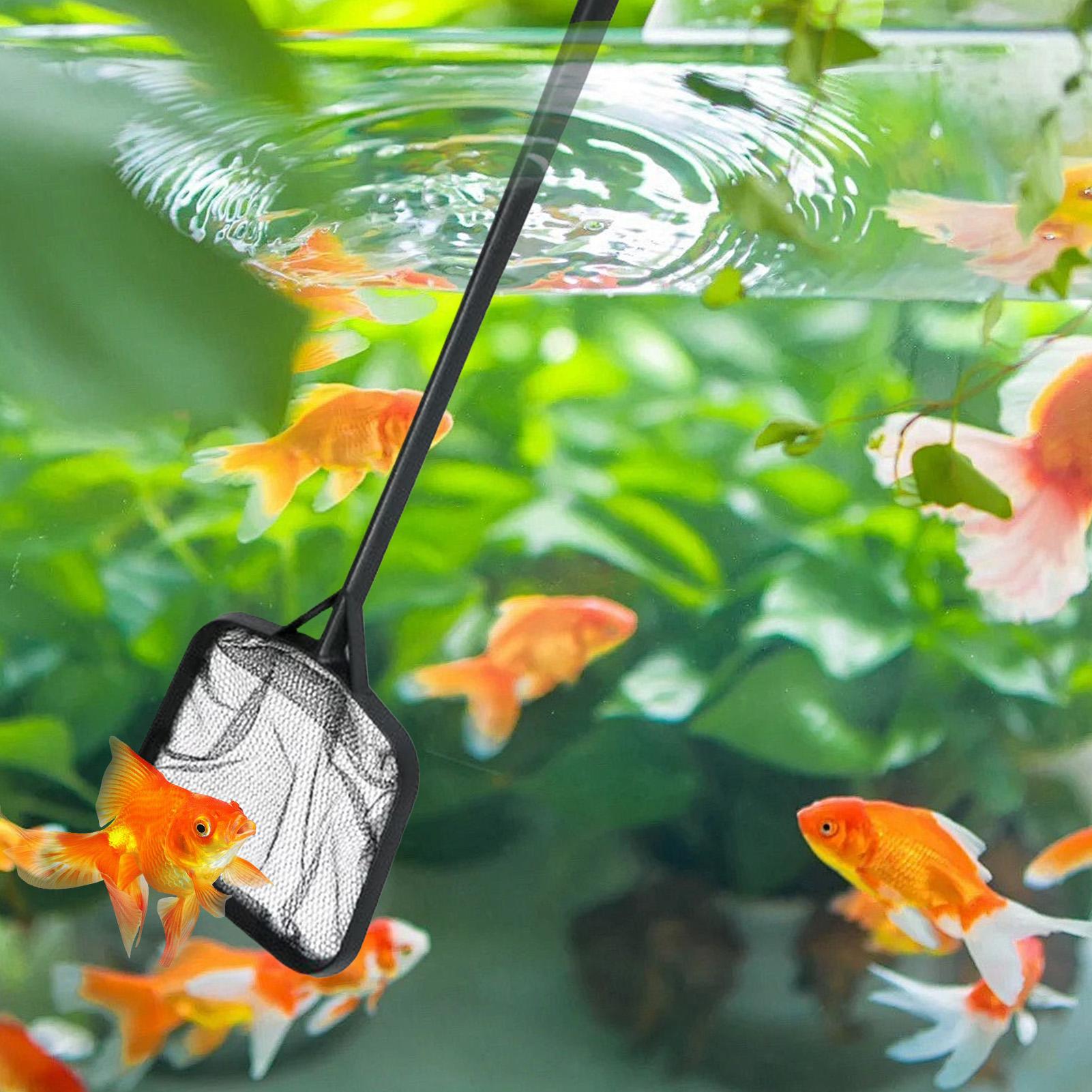 Pool Nets for Cleaning Portabl - Ocean Aquarium review and price