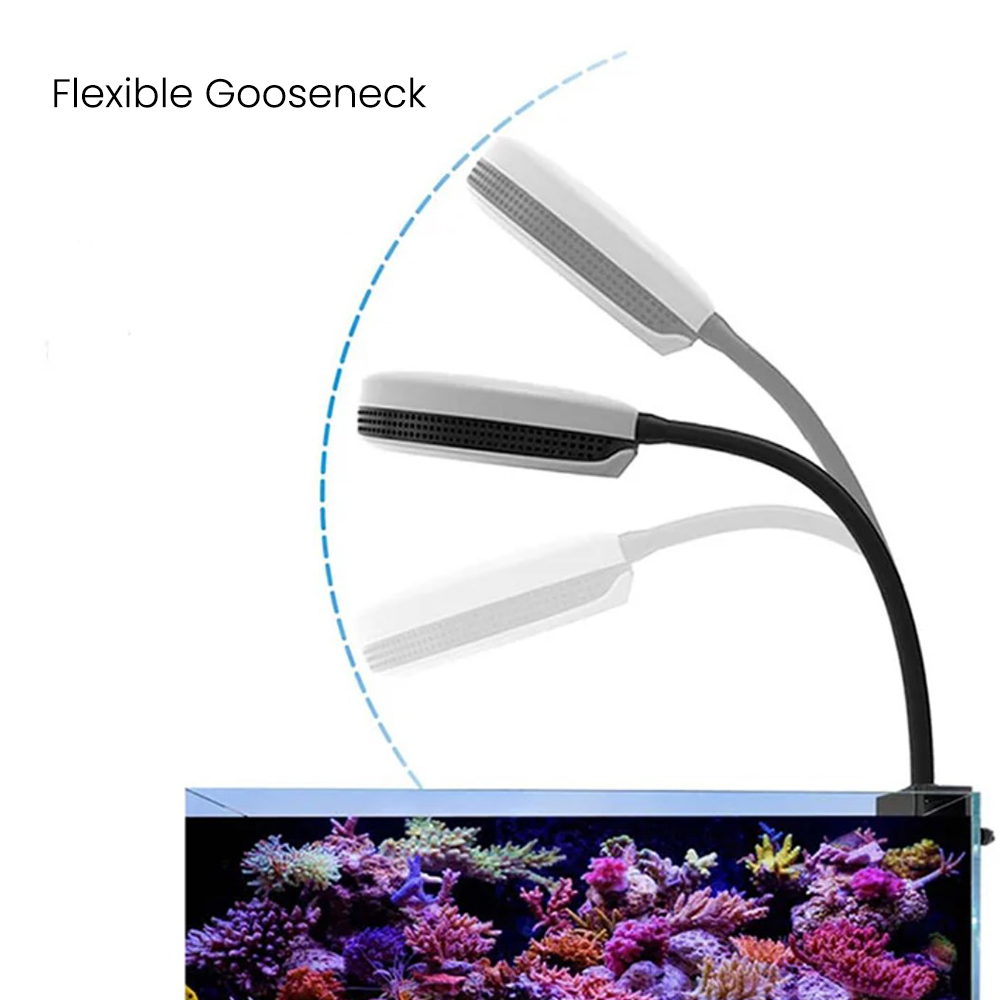 Spectra SP20 20W Aquarium LED  - Saltwater Tank review and price