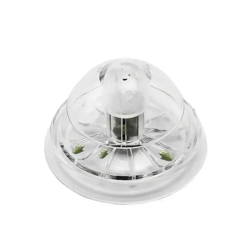 2026 New 6/8CM Clear Plastic S - Ocean Aquarium review and price