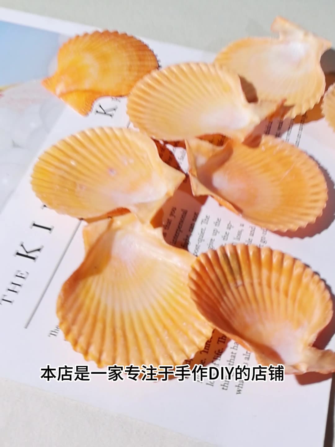 Best Yellow scallop shell fish - Marine Fish Tank review and price