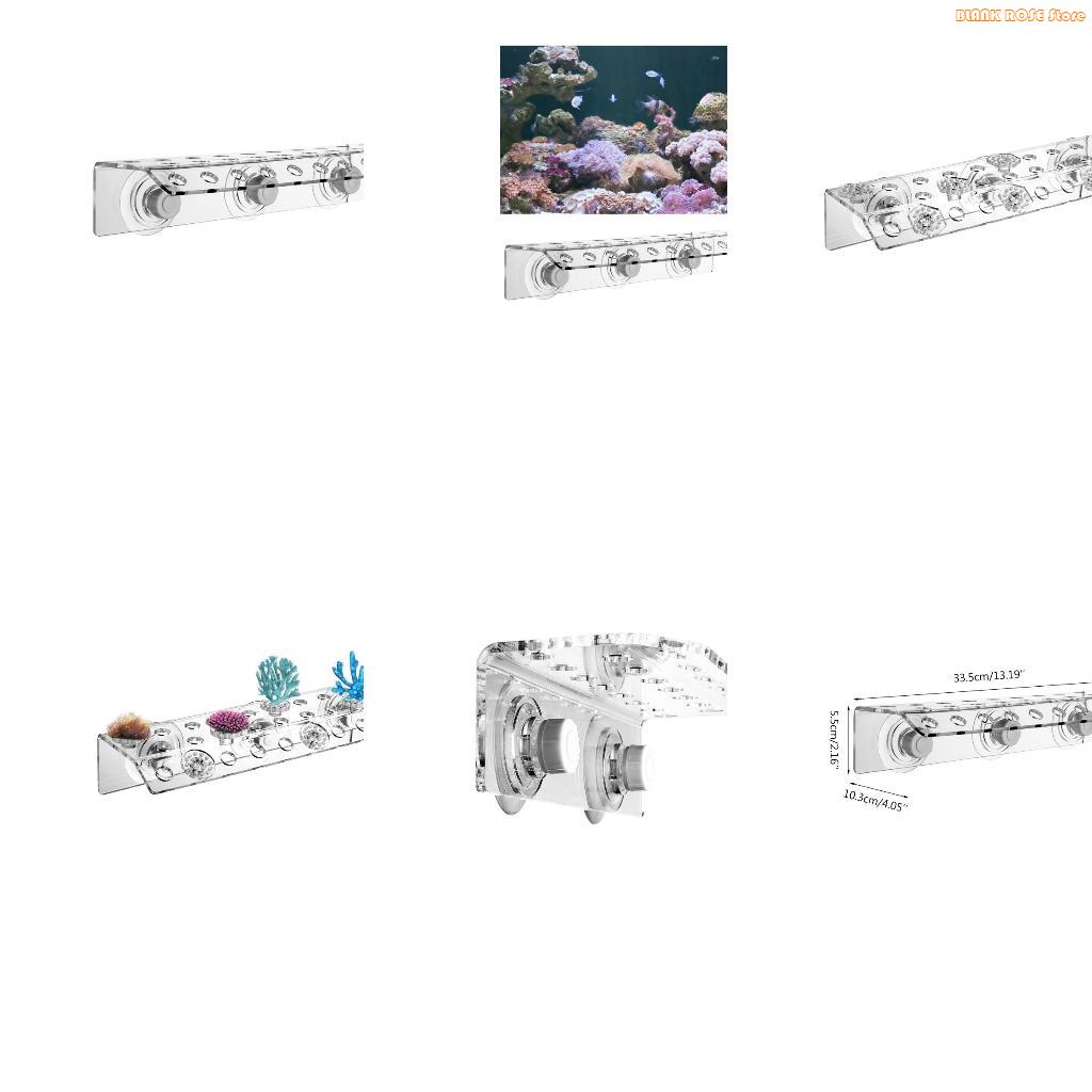 K1AE 32 Holes Coral Frag Rack  - Reef Aquarium review and price