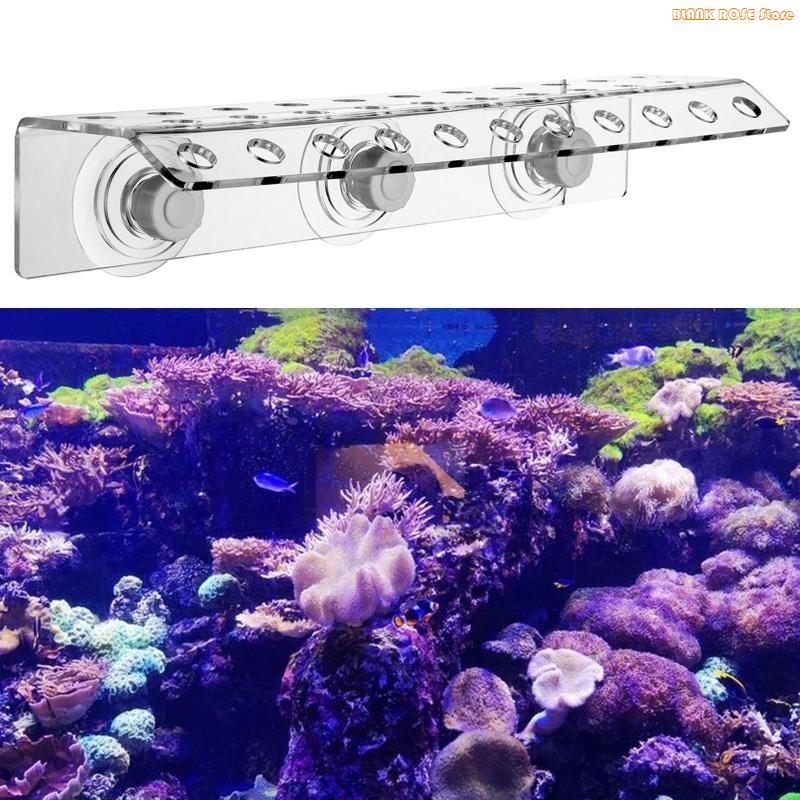 K1AE 32 Holes Coral Frag Rack  - Reef Aquarium review and price