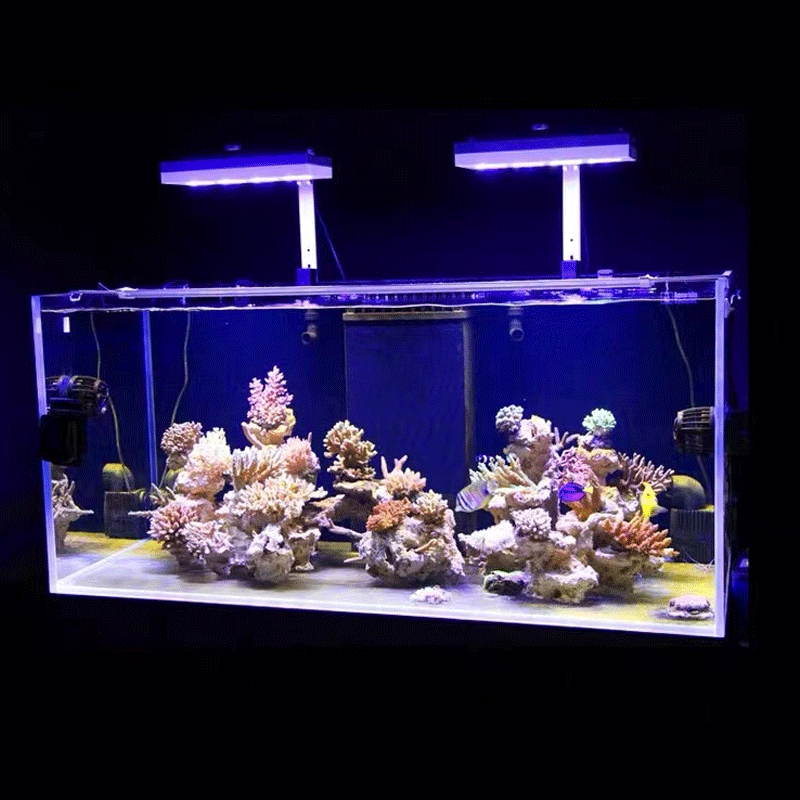 Aqua Illumination AI Hydra 32H - Marine Coral review and price