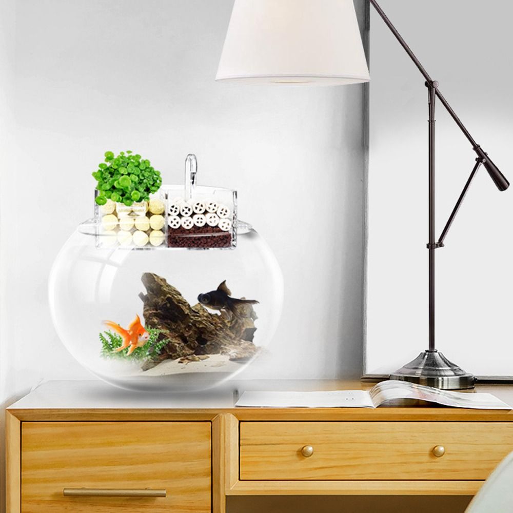 3-in-1 External Filter Box Han - Reef Tank Filter review and price