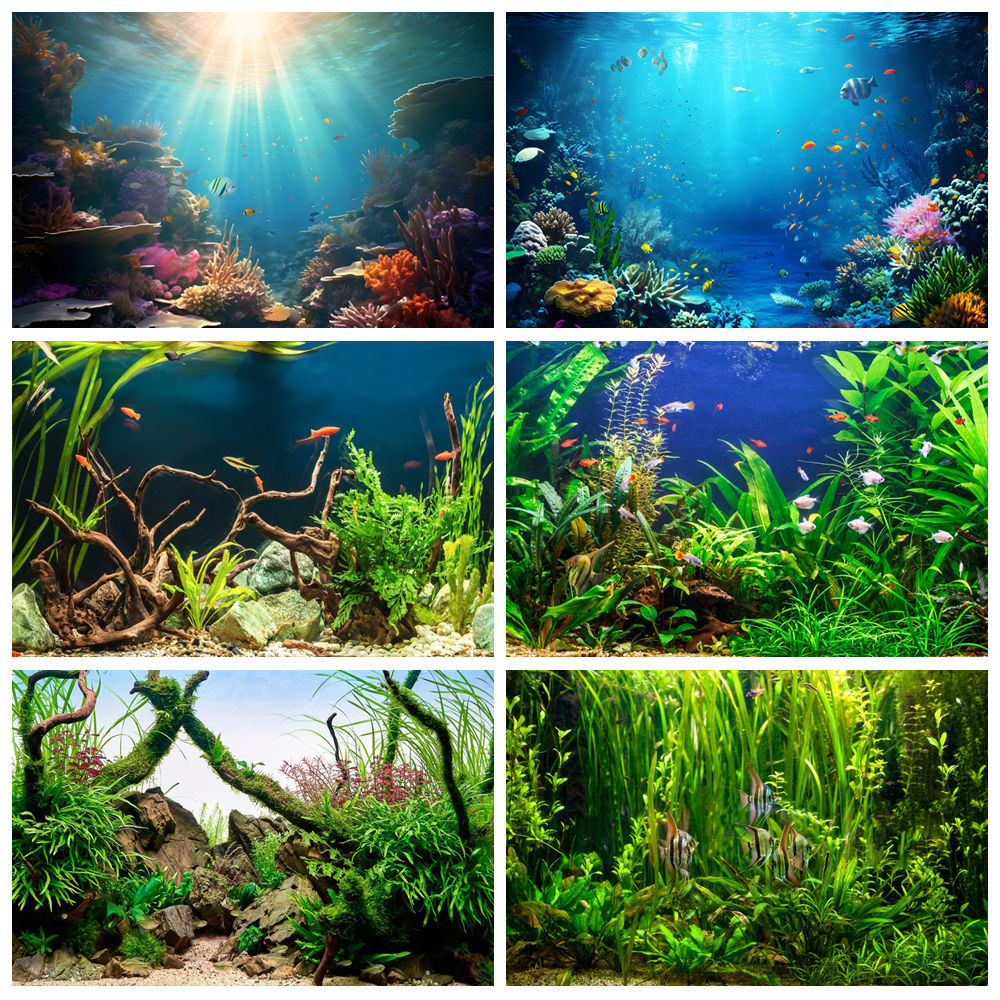 Under Sea Seabed World Photogr - Aquarium Marine World review and price
