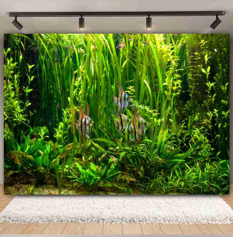 Under Sea Seabed World Photogr - Aquarium Marine World review and price