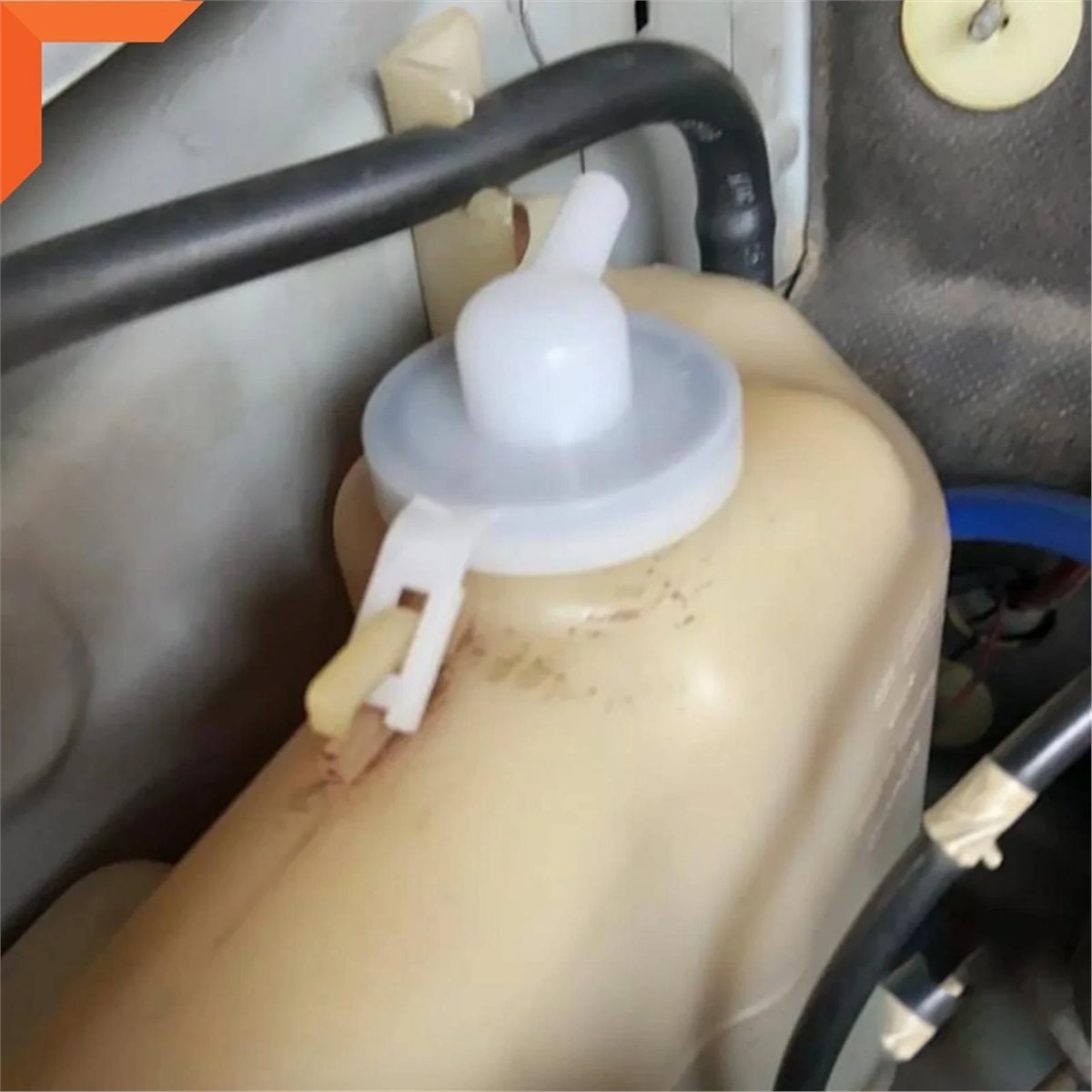 #37H Radiator Cap,Water Washer - Saltwater Tank review and price