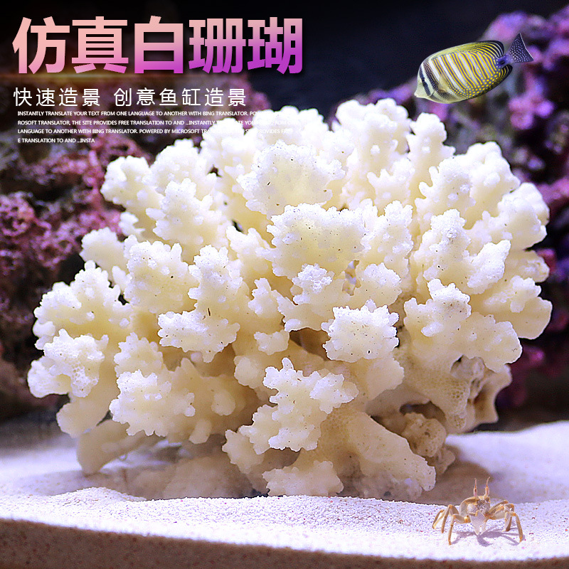 Small Tank Coral Tree Landscap - Marine Aquarium Epoxy review and price