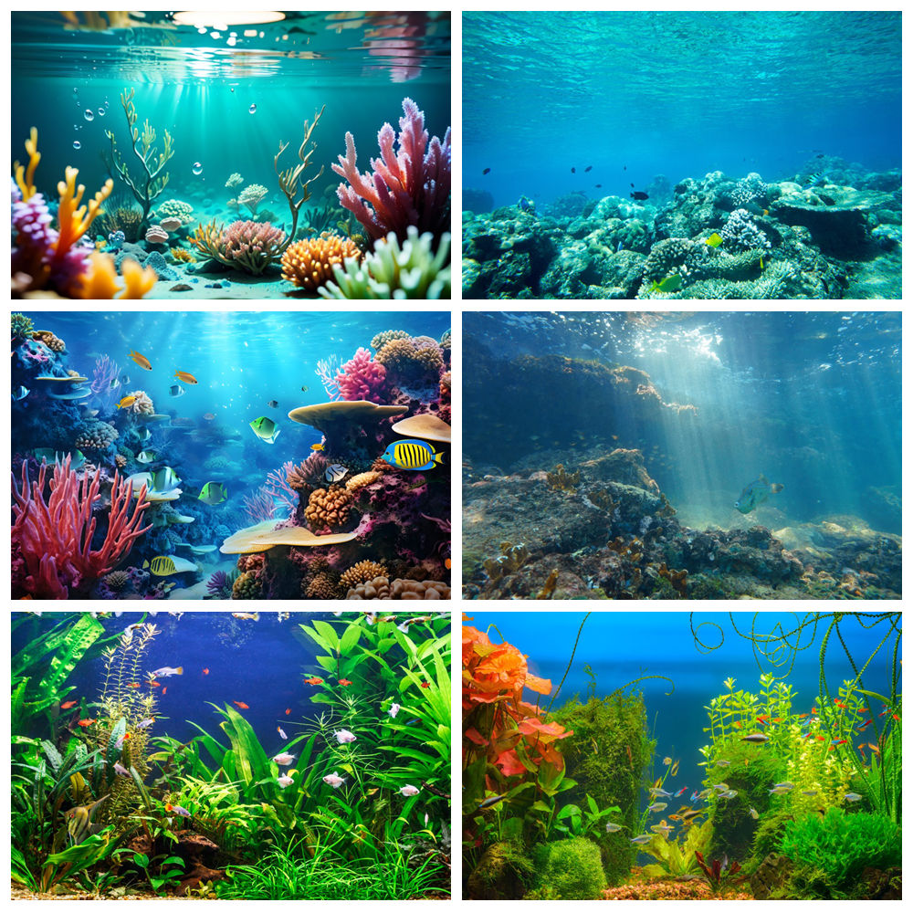Underwater World Seabed Photog - Aquarium Marine World review and price