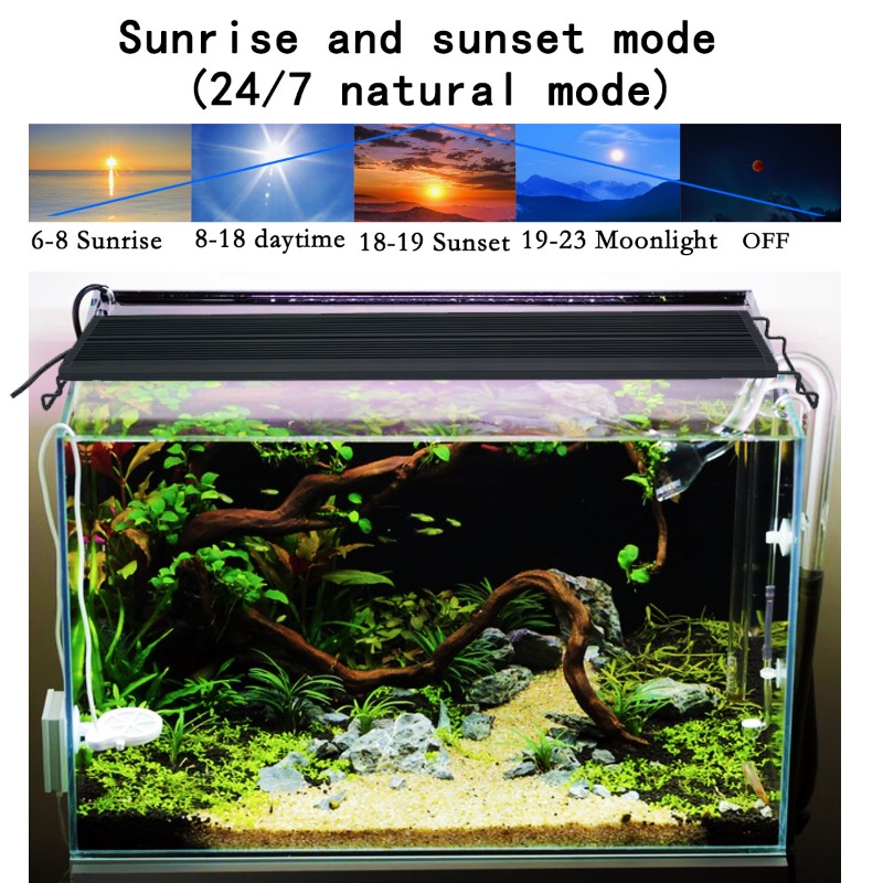 LED Fish Tank Light Full Spect - Reef Lighting review and price
