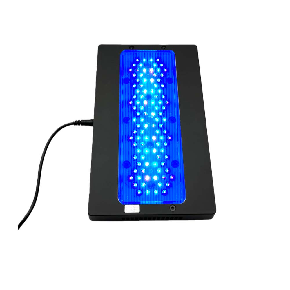 A8 III Moon light Powerful Mar - Marine Coral review and price