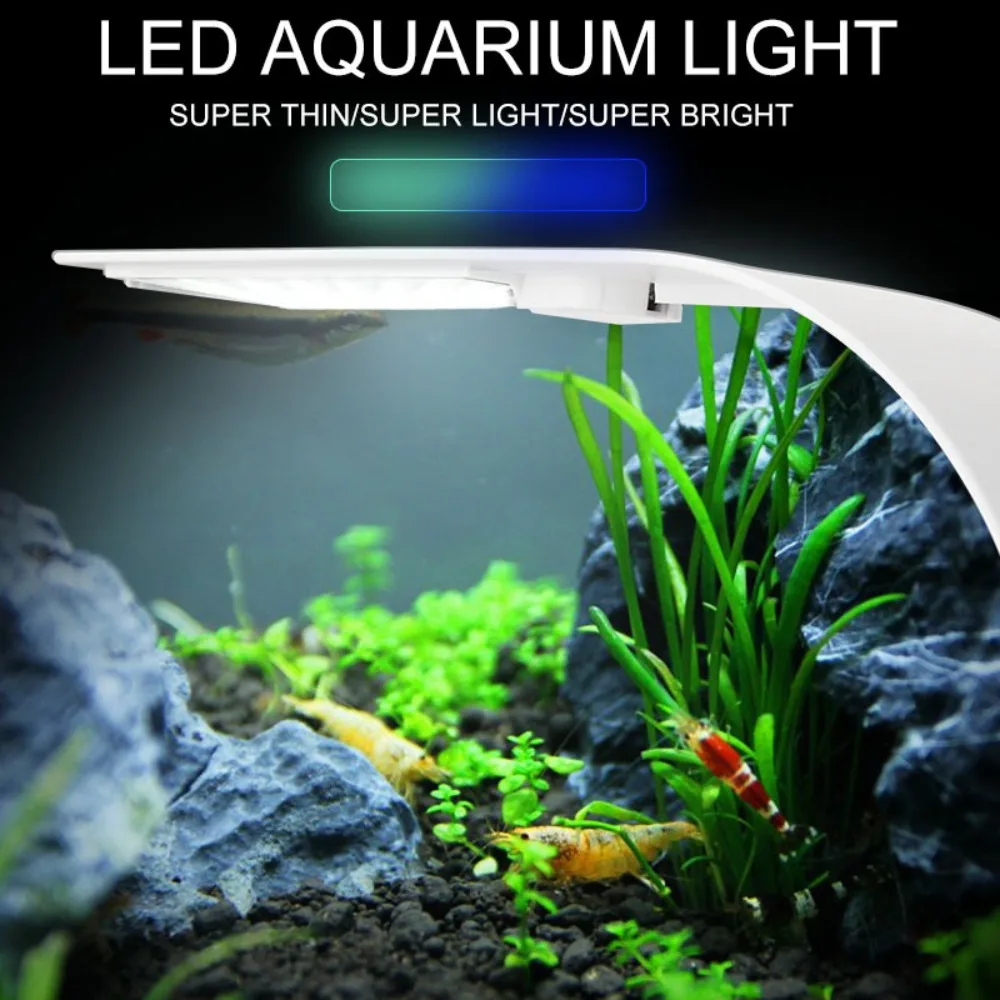 5W Mini LED Aquarium Light, Ul - Reef Lighting review and price