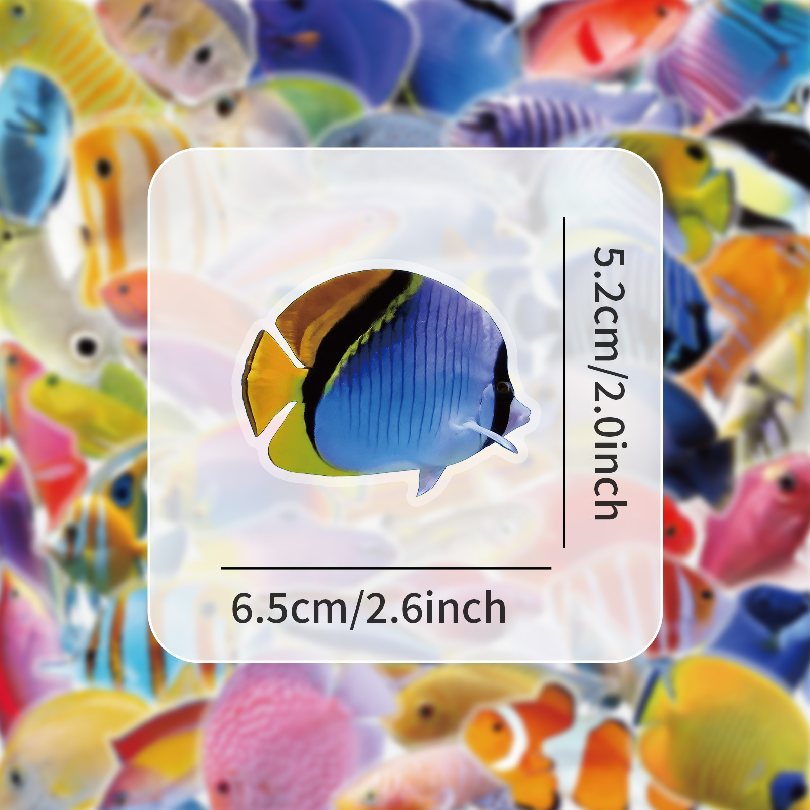 50-100PCS Transparent PET Cora - Marine Coral review and price