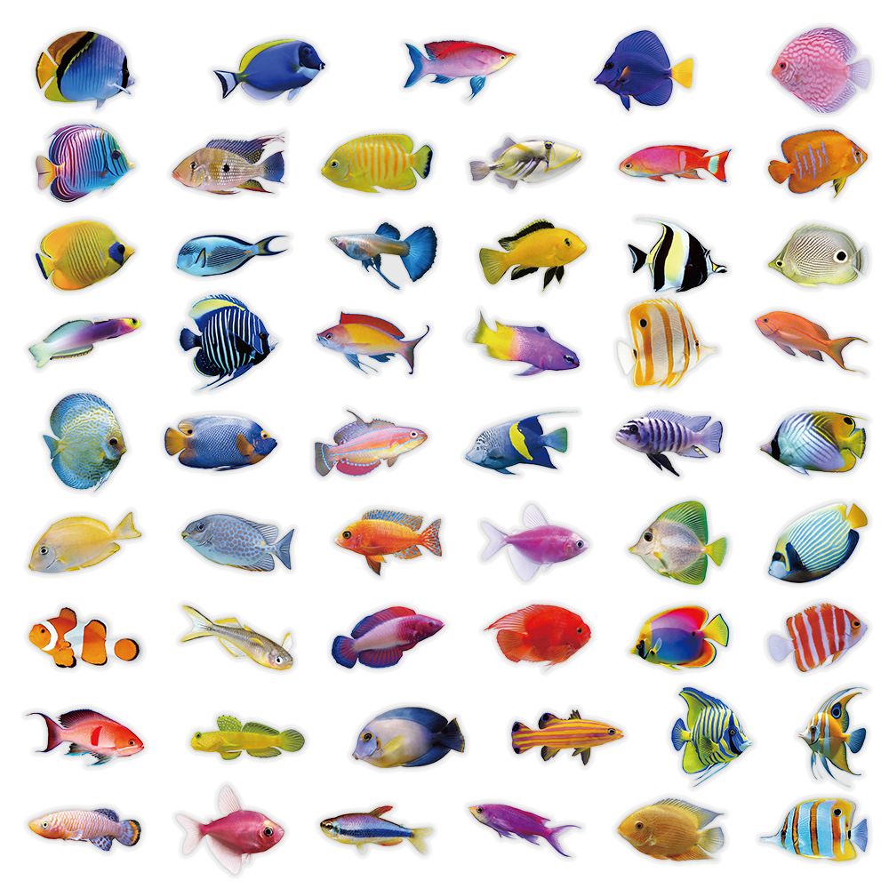 50-100PCS Transparent PET Cora - Marine Coral review and price