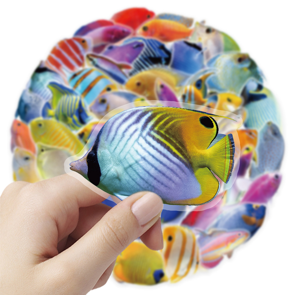 50-100PCS Transparent PET Cora - Marine Coral review and price