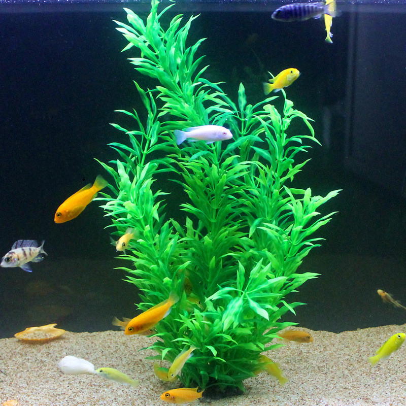 50CM Artificial Fish Tank Rare - Ocean Aquarium review and price