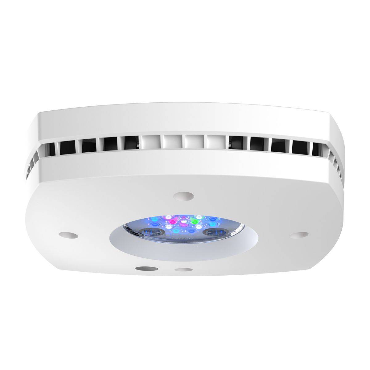 Prime 16 HD LED Reef Light, Or - Reef Lighting review and price