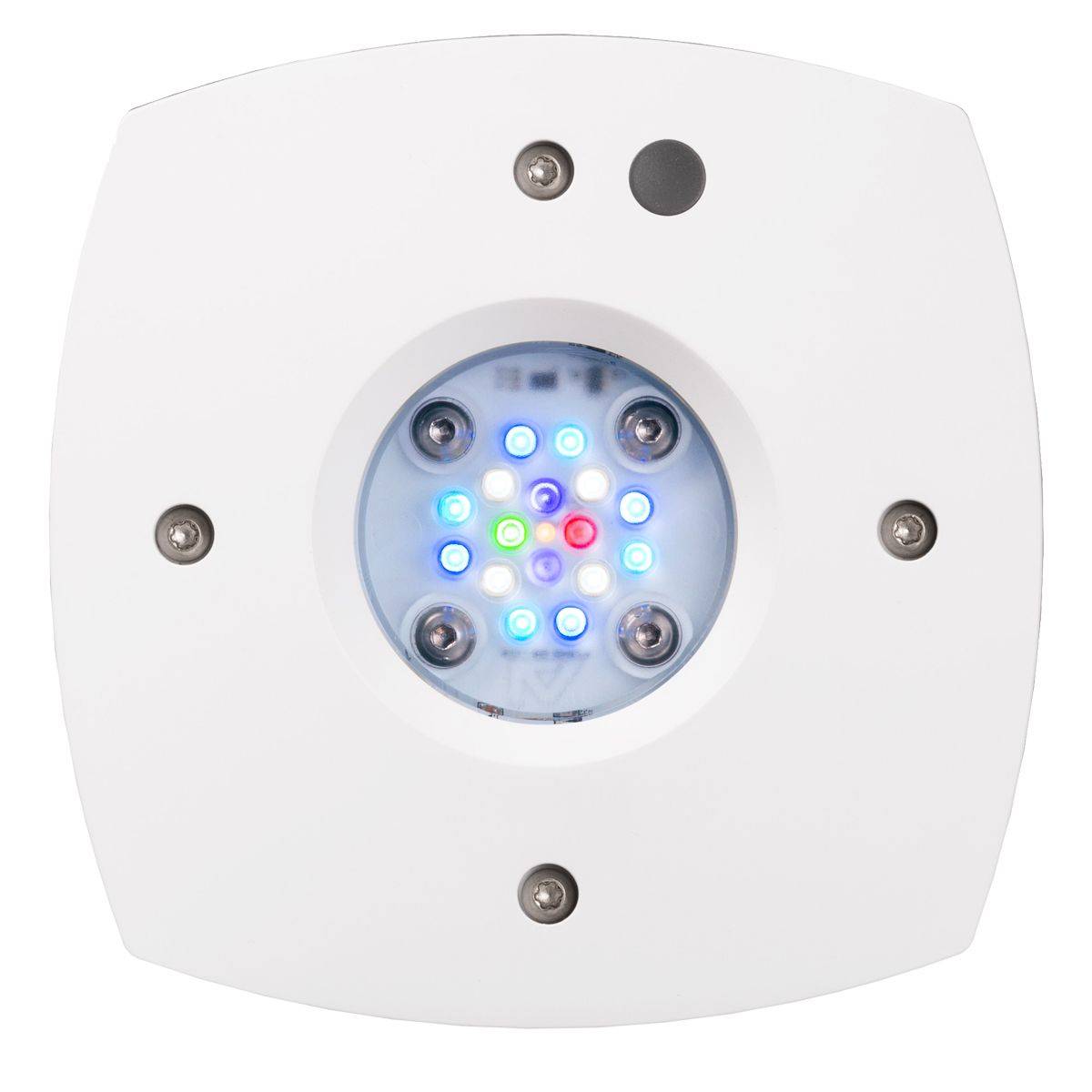 Prime 16 HD LED Reef Light, Or - Reef Lighting review and price