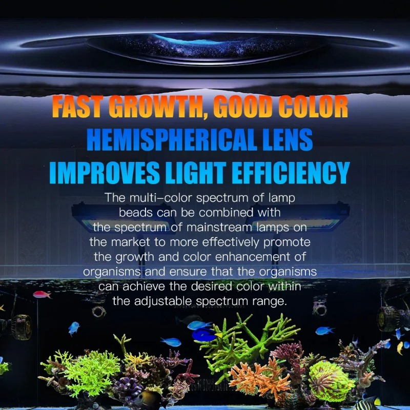 A8Pro II Max Coral Reef Marine - Marine Coral review and price