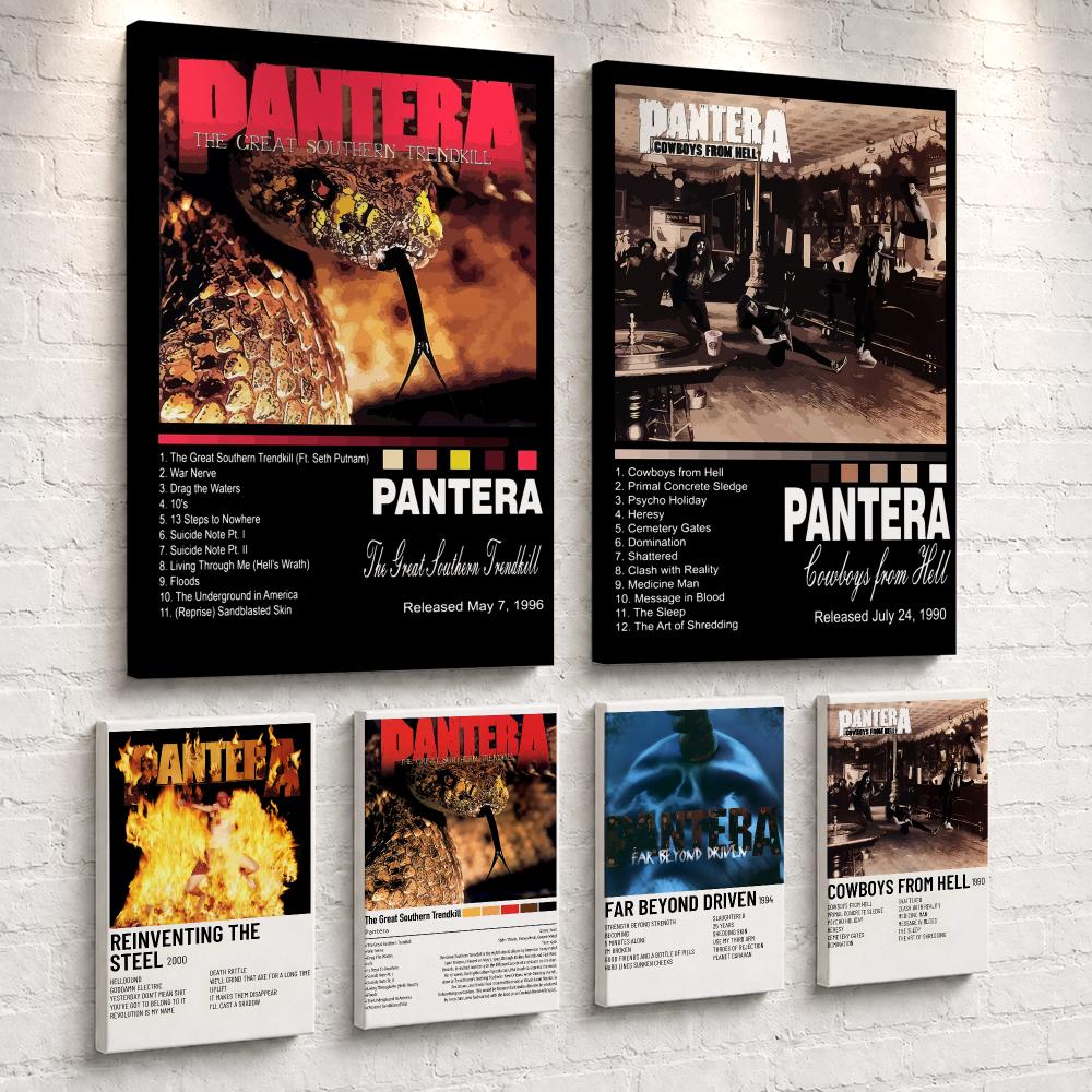 Rock Band Music Album P-Panter - Live Rock review and price