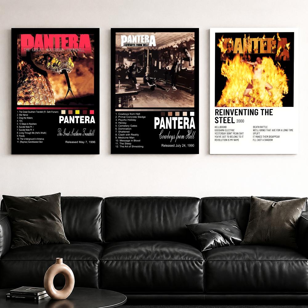 Rock Band Music Album P-Panter - Live Rock review and price