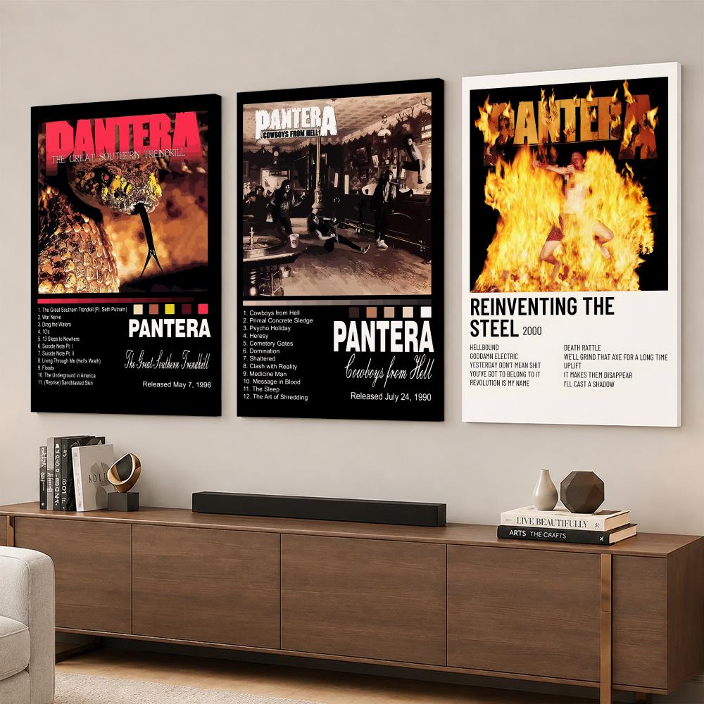 Rock Band Music Album P-Panter - Live Rock review and price