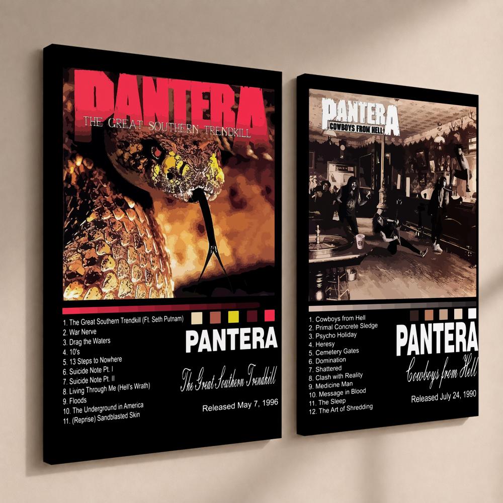 Rock Band Music Album P-Panter - Live Rock review and price