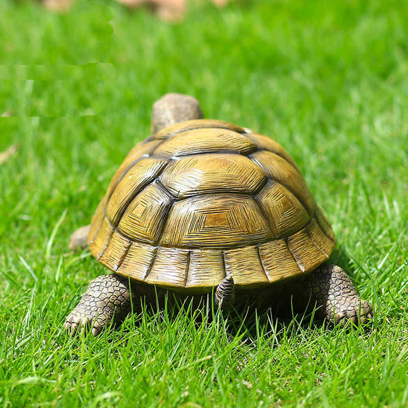 Cute Decorative Turtle Resin T - Marine Fish Tank review and price