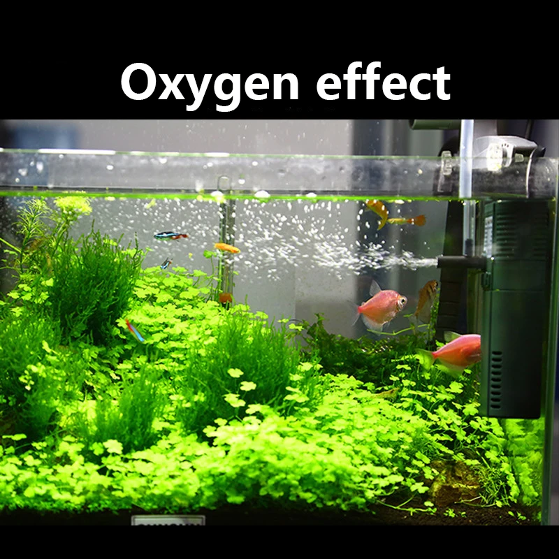 SUNSUN mini nano 111B 311B 611 - Reef Tank Filter review and price